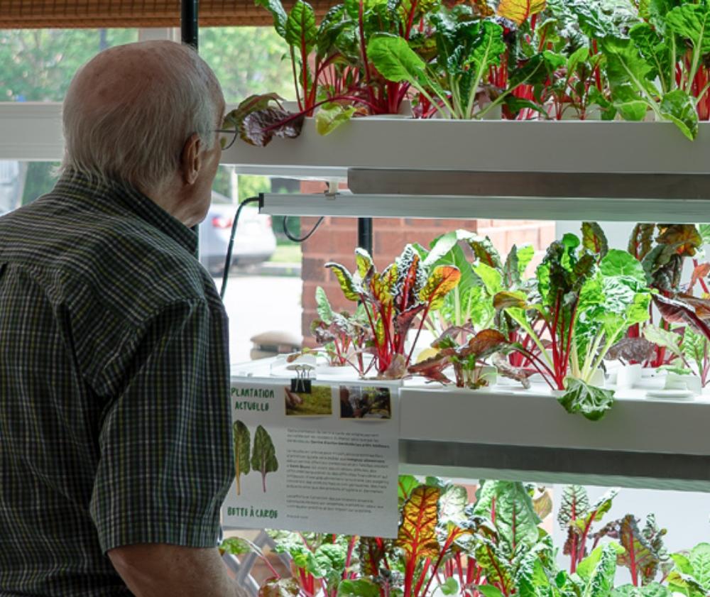 Monsieur arrosant plantes